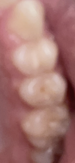 IMG-8098