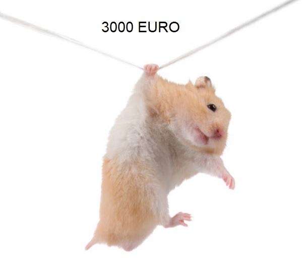 eth.jpg