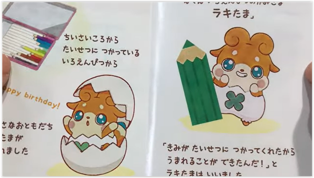 raki-rolling-fig-booklet-open