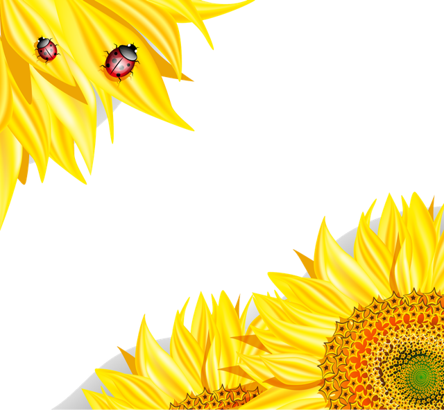 61