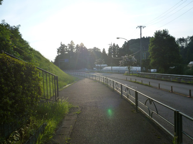 P1340734.jpg