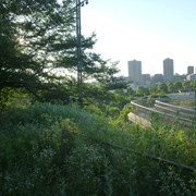 P1320092