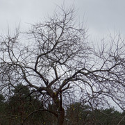 DSC09667