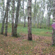IMG-9576