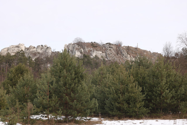 IMG-9178.jpg