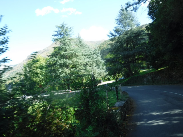 DSCF6204