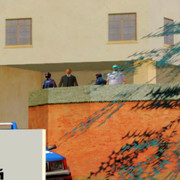 gallery46