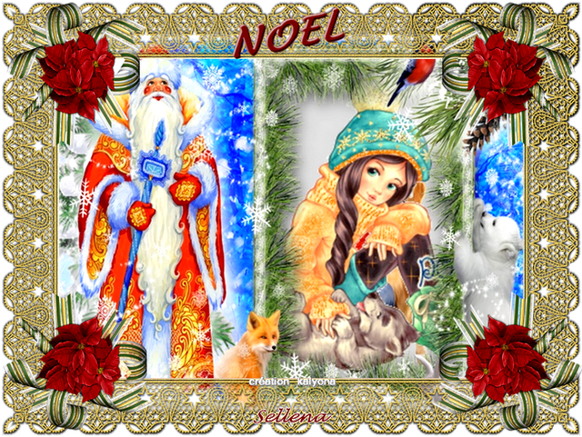 noel-1