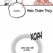 080