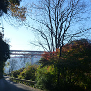 P1130486