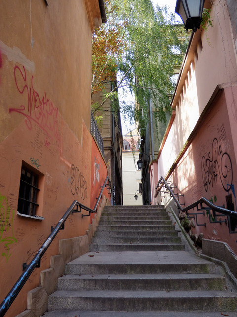 P1020710