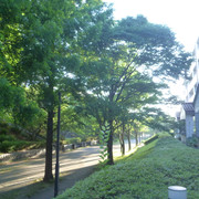 P1320068