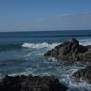 DSCF8389