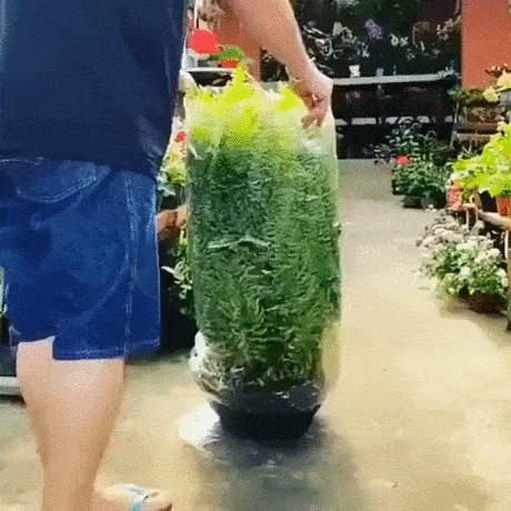 https://i.ibb.co/nmJX4Cf/2.gif