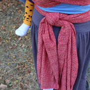 IMG-3341