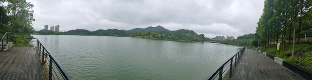 IMG20200708131652.jpg