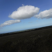 DSCF6716