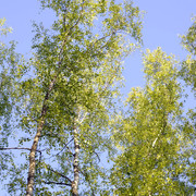 DSC3541