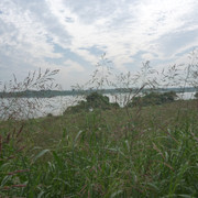 2020-10-04-339