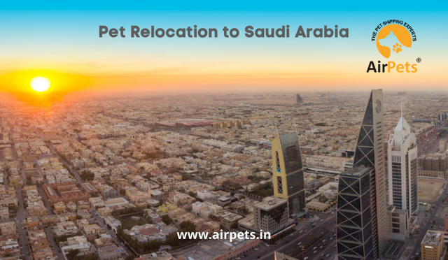Pet Relocation to Saudi Arabia.png