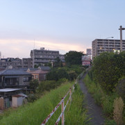 2020-08-16-021-300