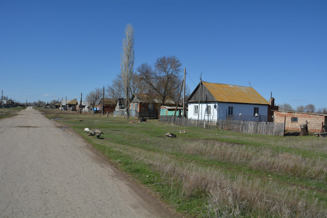 DSC-3257