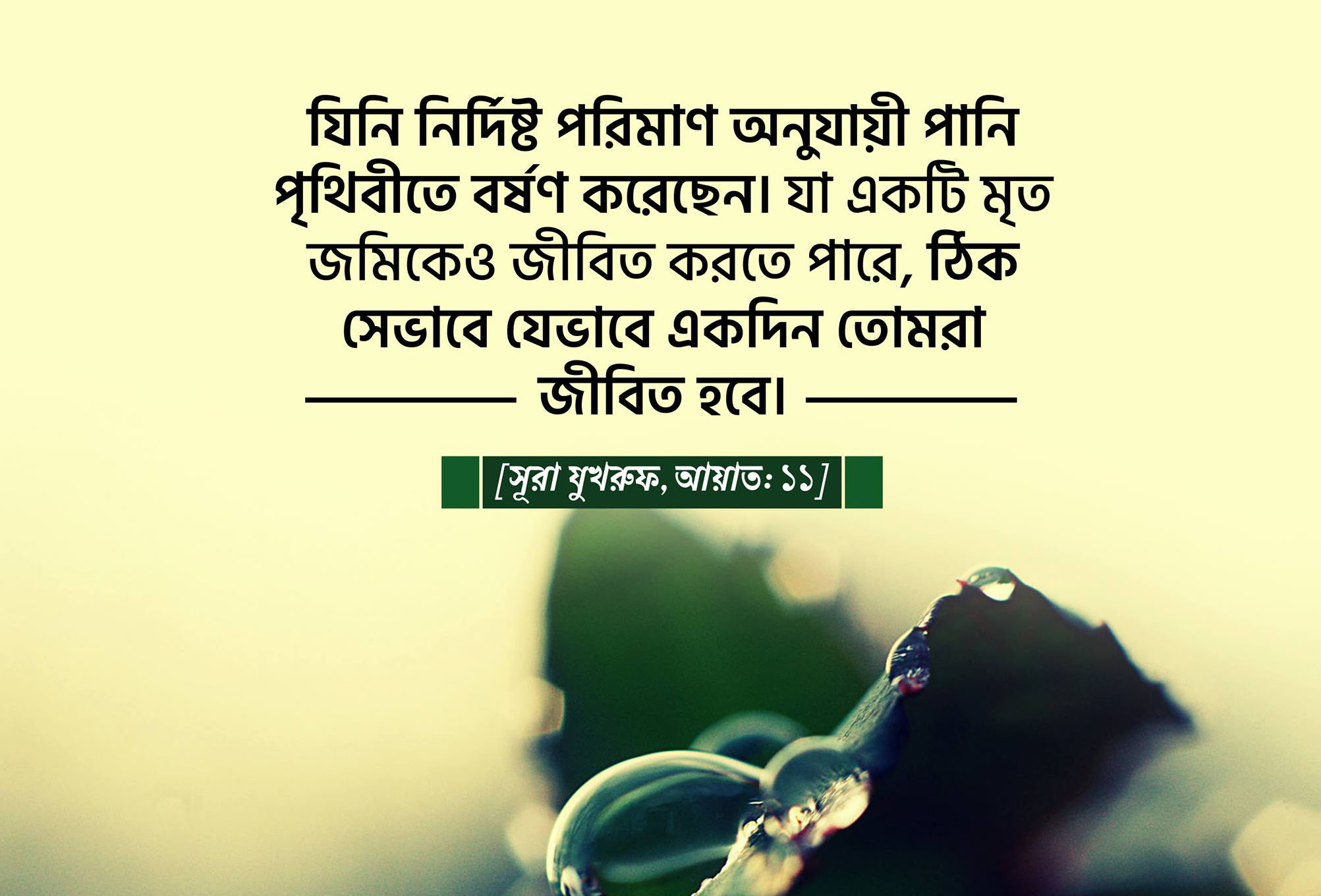 বিজ্ঞান