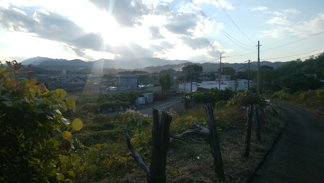 IMG-20221108-152609
