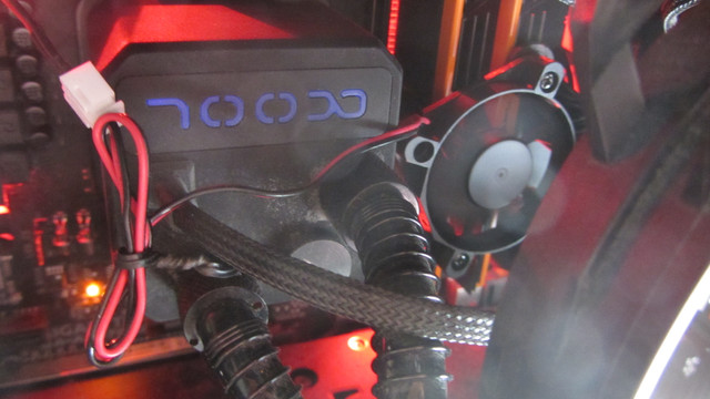 IMG 1905