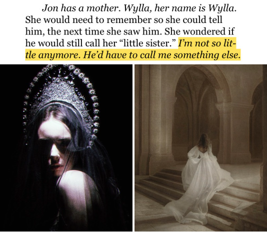 https://i.ibb.co/nmbbW2K/image.png