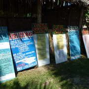 P1060474