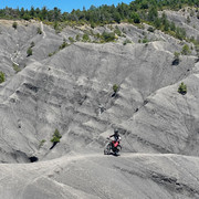 Ki06-29