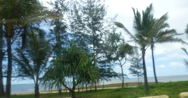 P1070329