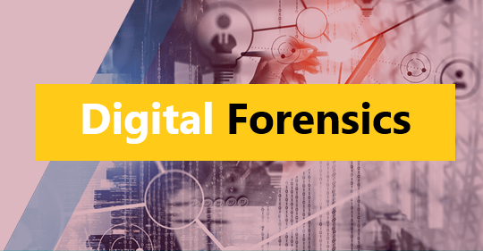 Digital Forensics.png