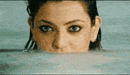 001.gif