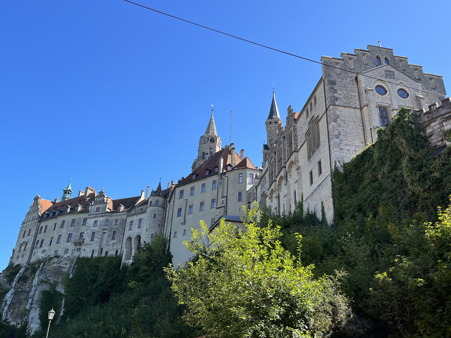 IMG-6792