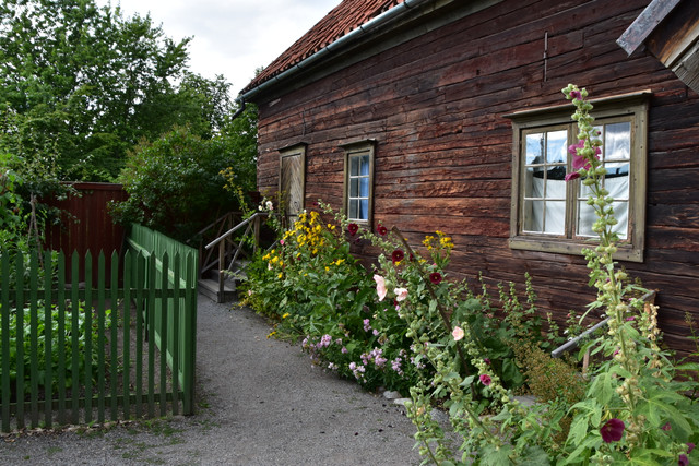 DSC-0543