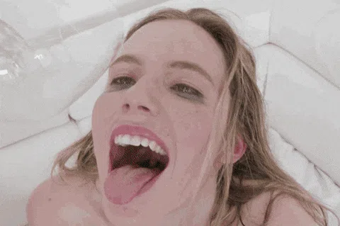 23129364