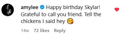 skylargrey2.jpg