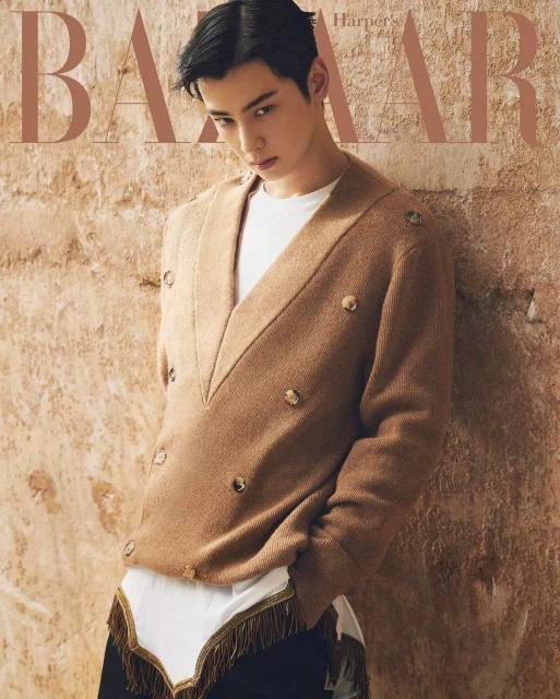 cha eun woo 1246941