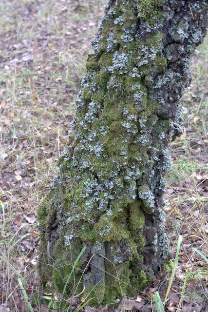 DSC7448-result.jpg