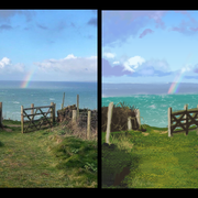 bg study 1