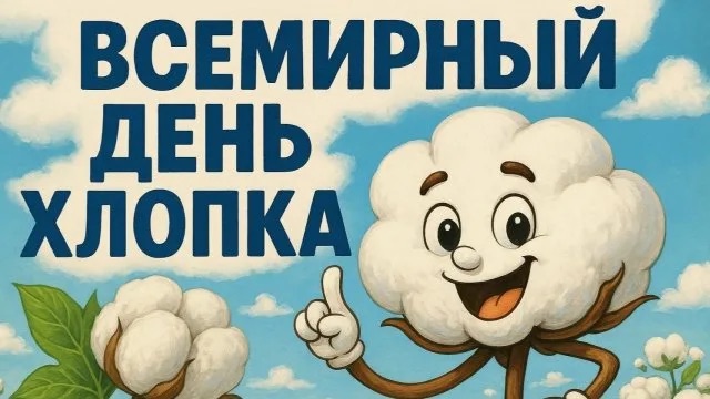 https://i.ibb.co/nq4Vd79K/IMG-2070.jpg