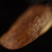 DSC01634