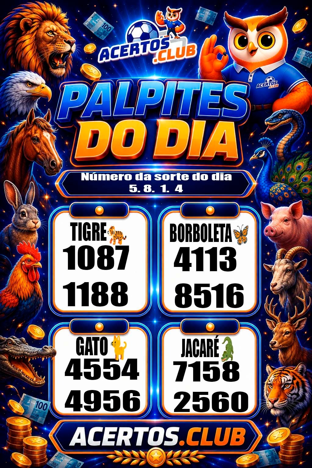 Palpites do Dia
