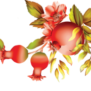 Layer 23 (6)