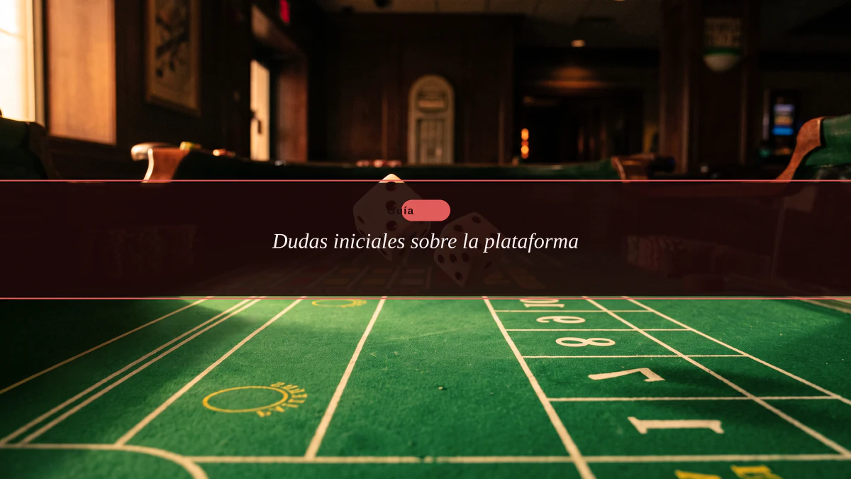 Dudas iniciales sobre la plataforma