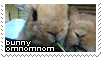 bunny