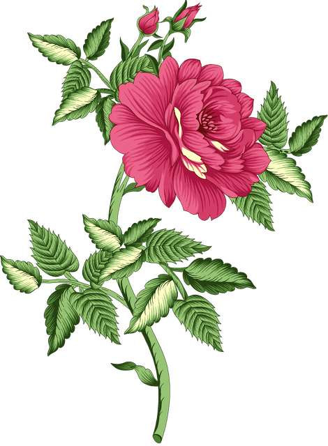 81eee3d793c19a3d73fc2cad81101a5c.png