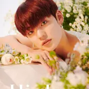 chan a c e 1176366